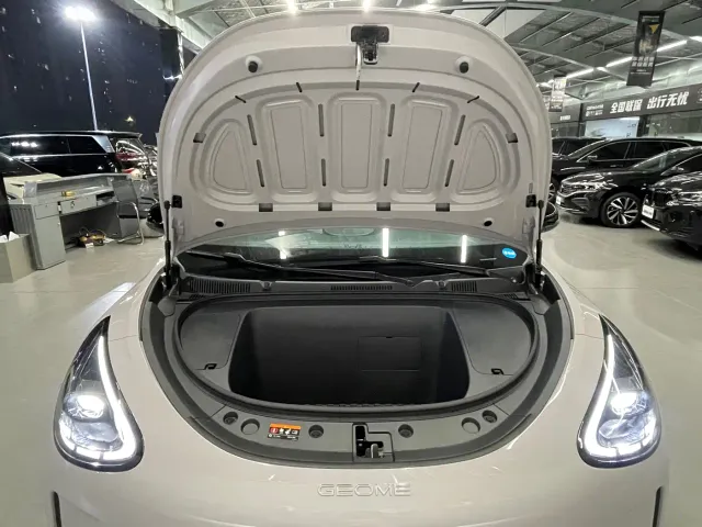 Geely Starry Wish — Фото автомобиля 21