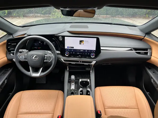 Lexus RX — Фото автомобиля 18