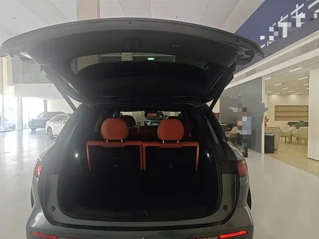 BYD Tang L — Фото автомобиля 18