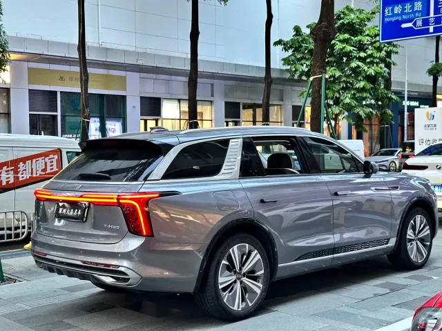 Hongqi E-HS9 — Фото автомобиля 7