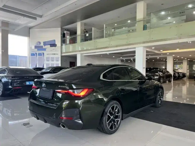 BMW 4 Series — Фото автомобиля 9
