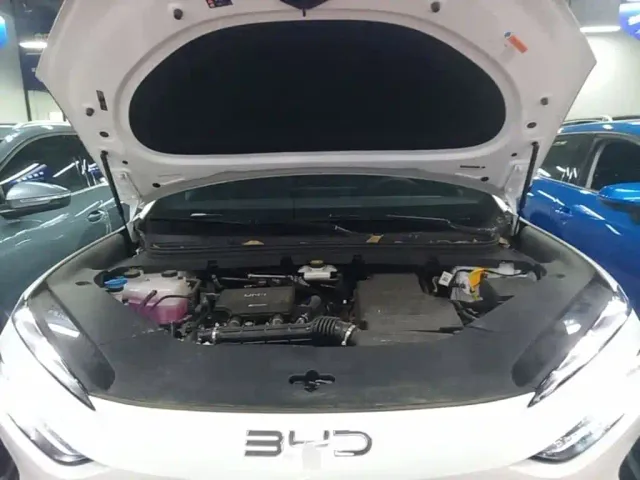 BYD Sealion 06 — Фото автомобиля 19