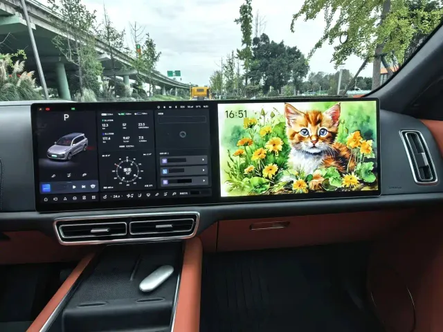 Li Auto L9 — Фото автомобиля 6