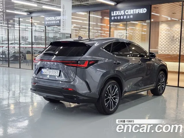 Lexus NX Generation 2 — Фото автомобиля 2