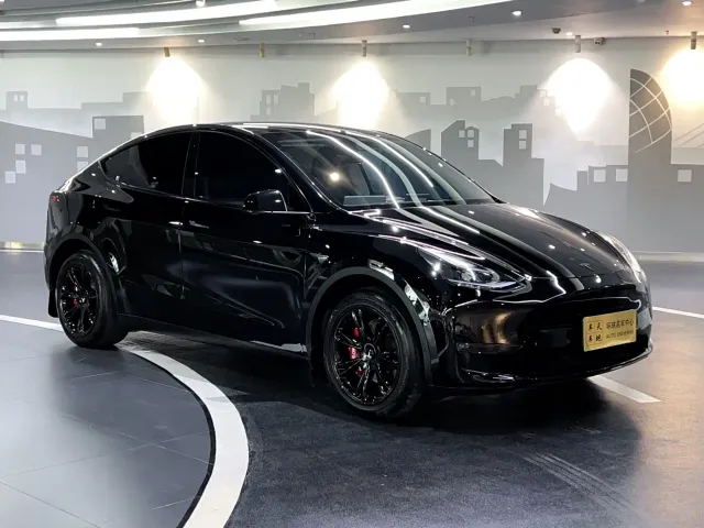 Tesla Model Y — Фото автомобиля 3