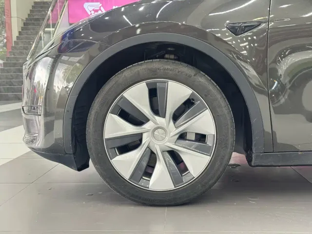 Tesla Model Y — Фото автомобиля 10