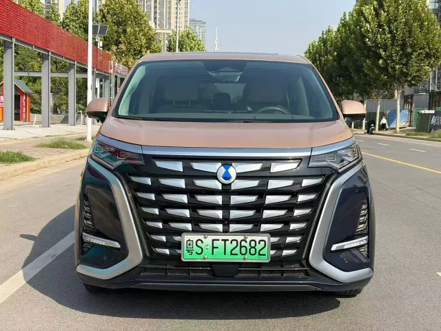 Фотография автомобиля — Denza D9