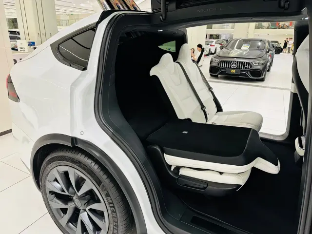Tesla Model X — Фото автомобиля 22