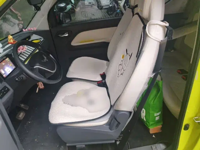 Wuling Hongguang Mini EV — Фото автомобиля 11