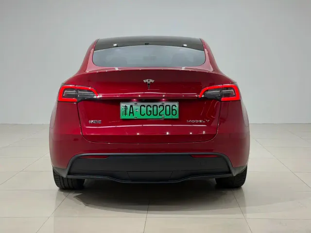 Tesla Model Y — Фото автомобиля 7