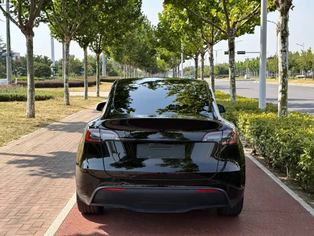 Tesla Model Y — Фото автомобиля 4