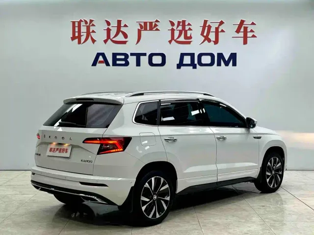 Skoda Karoq — Фото автомобиля 6