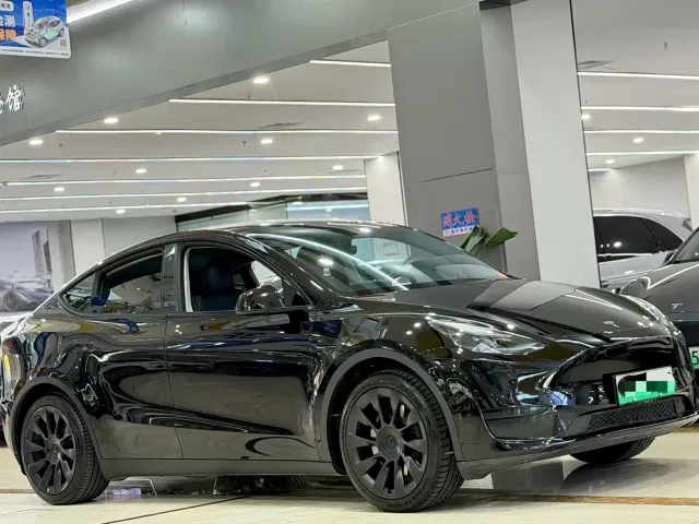Tesla Model Y — Фото автомобиля 3