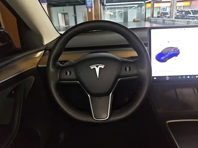 Tesla Model Y — Фото автомобиля 10