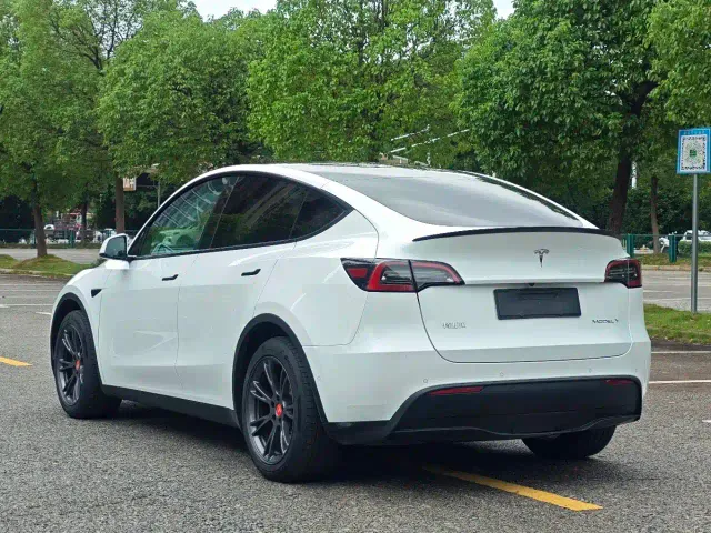 Tesla Model Y — Фото автомобиля 19
