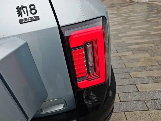 BYD FangChengBao Leopard 8 — Фото автомобиля 7