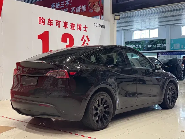 Tesla Model Y — Фото автомобиля 4