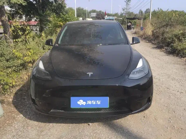 Tesla Model Y — Фото автомобиля 2