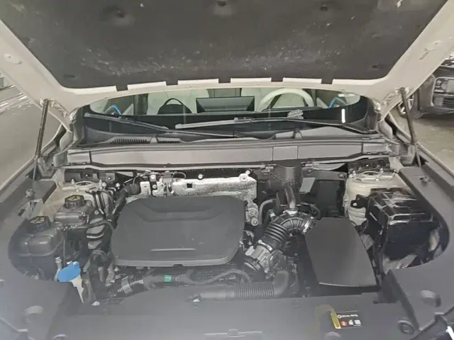 Haval Xiaolong MAX — Фото автомобиля 19