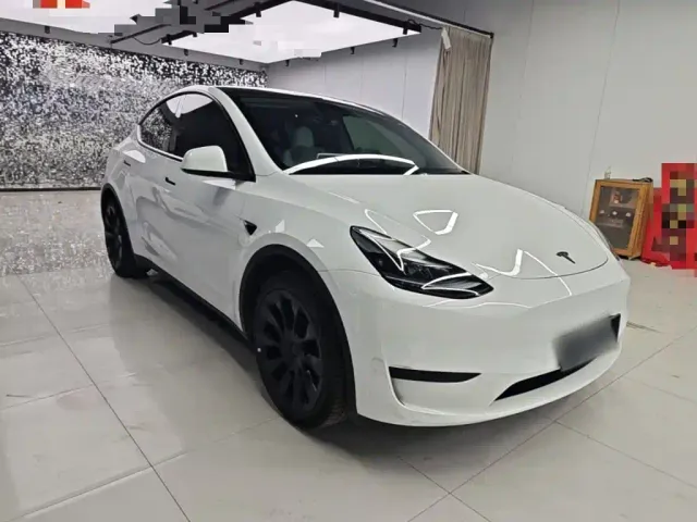 Tesla Model Y — Фото автомобиля 3
