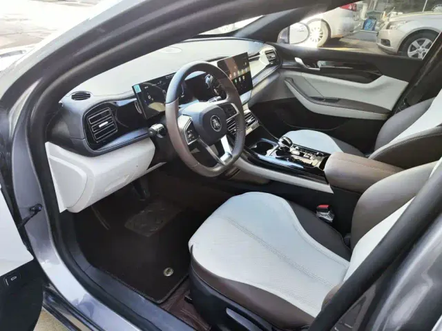 BYD Qin PLUS — Фото автомобиля 15