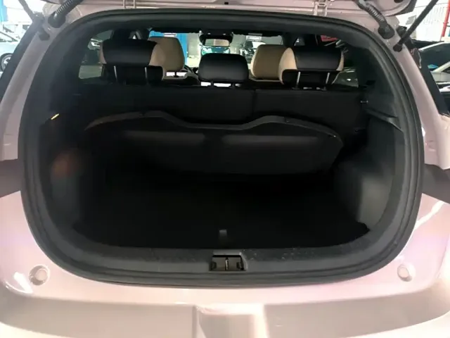 BYD Dolphin — Фото автомобиля 18