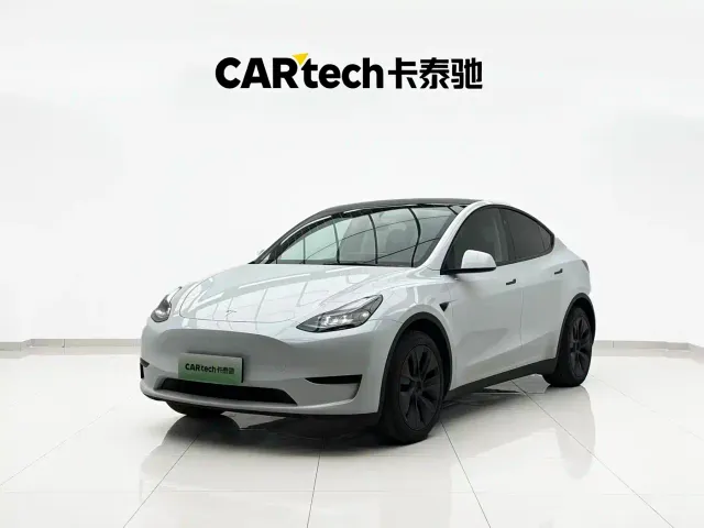 Tesla Model Y — Фото автомобиля 2
