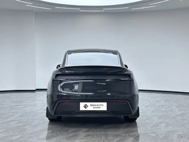 Tesla Model Y — Фото автомобиля 6