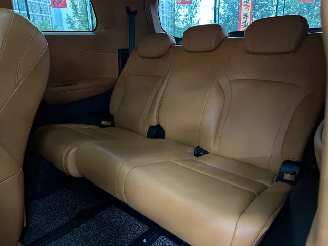Wey Alpine — Фото автомобиля 22