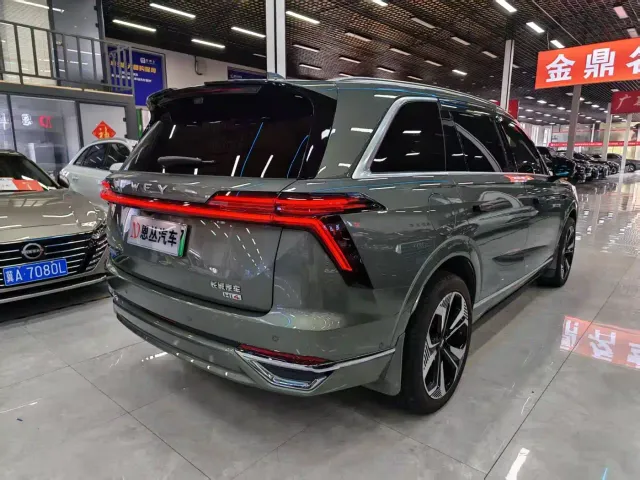 Wey Lanshan — Фото автомобиля 9