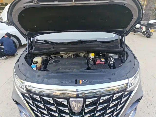 Roewe iMAX8 — Фото автомобиля 19