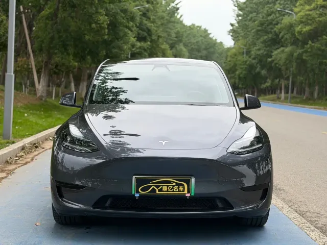 Tesla Model Y — Фото автомобиля 2