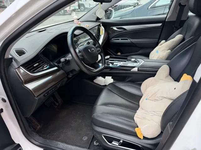 Geely Borui 2021 1.8T Pilot Edition+ — Фото автомобиля 7
