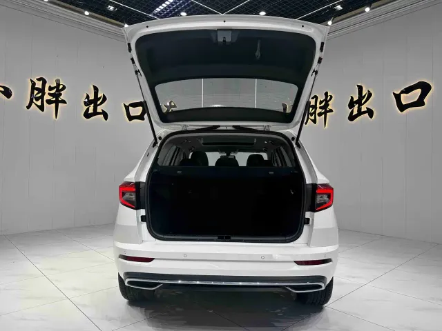 Skoda Karoq — Фото автомобиля 18