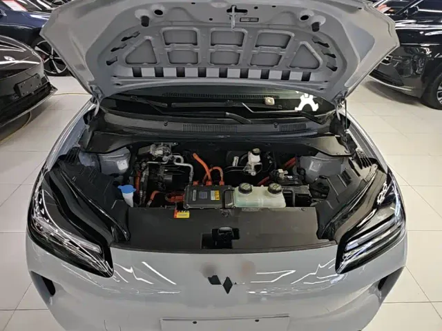 Wuling Binguo PLUS — Фото автомобиля 19