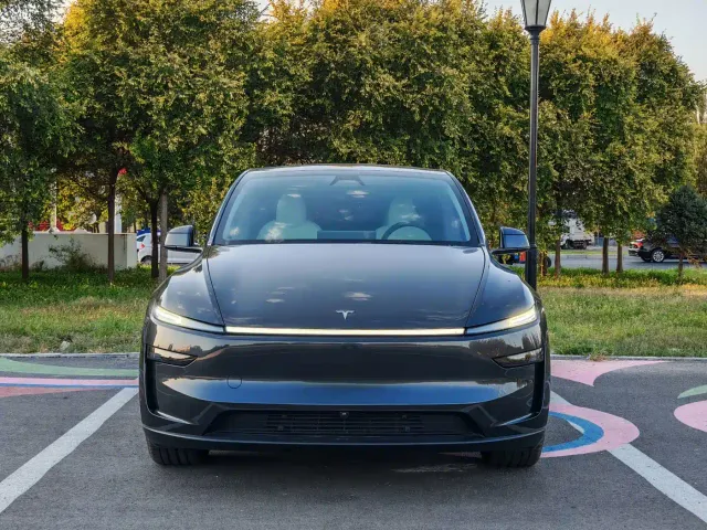 Tesla Model Y 2025 Model Long Range All-Wheel Drive Launch Edition — Фото автомобиля 2