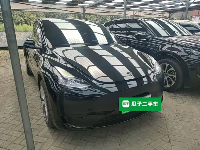 Tesla Model Y — Фото автомобиля 3