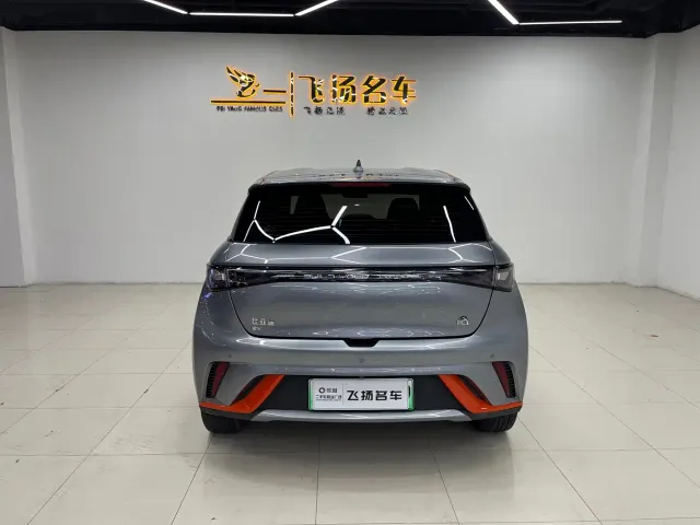 BYD Dolphin — Фото автомобиля 15