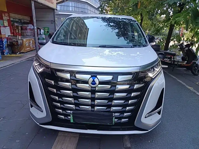 Denza D9 — Фото автомобиля 2
