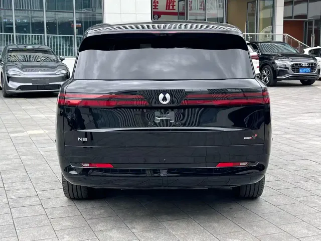 Denza N9 — Фото автомобиля 9
