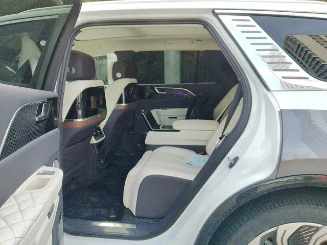 Hongqi Hongqi E-HS9 2022 660km Qi Ling Edition (4-seater) — Фото автомобиля 18