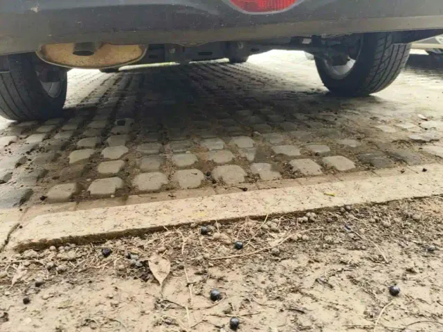 Buick Excelle — Фото автомобиля 10