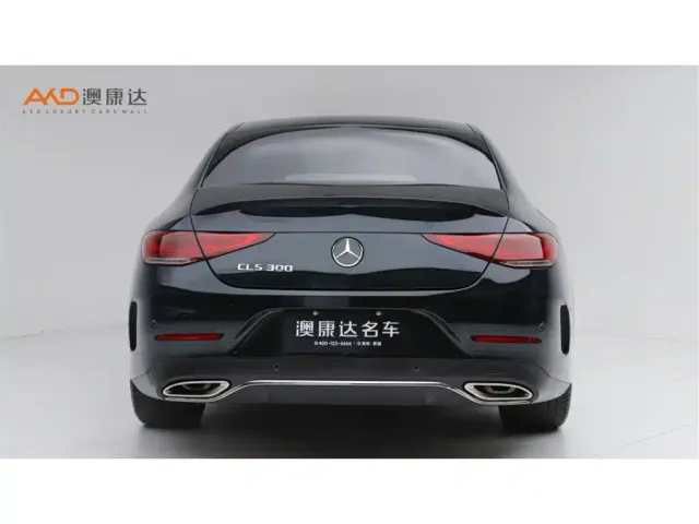 Mercedes-Benz CLS-Class — Фото автомобиля 4