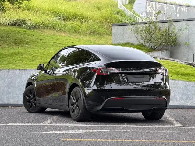 Tesla Model Y — Фото автомобиля 5