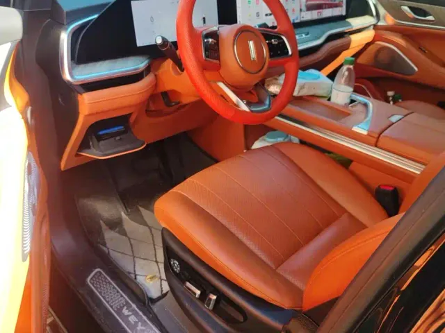 Wey Lanshan — Фото автомобиля 9