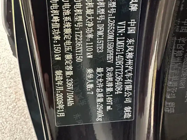 Forthing Xinghai V9 — Фото автомобиля 23