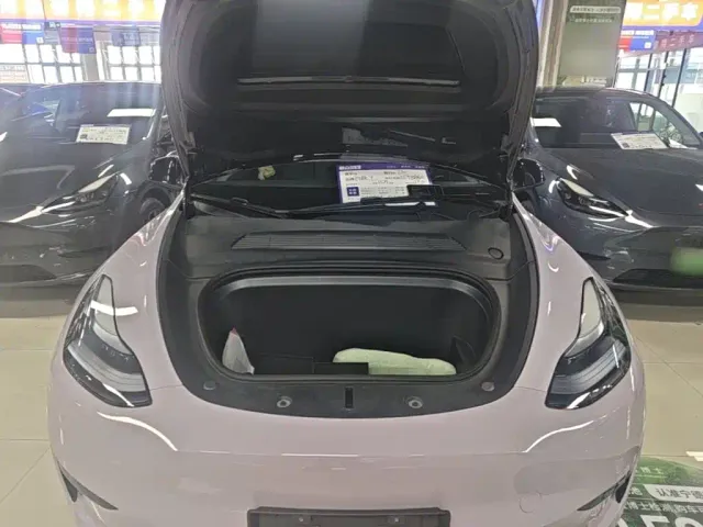 Tesla Model Y — Фото автомобиля 19