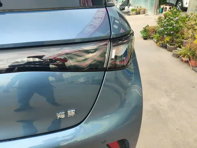 BYD Dolphin — Фото автомобиля 7