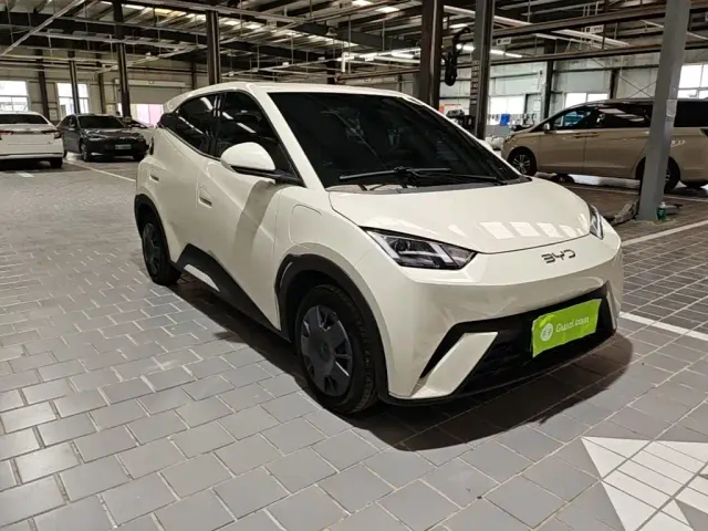 BYD Seagull — Фото автомобиля 21