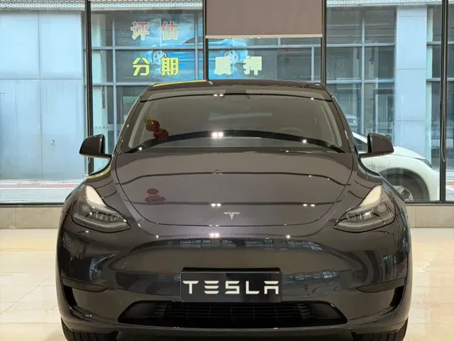 Tesla Model Y — Фото автомобиля 2